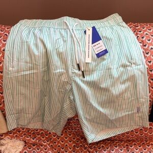 Men's Mint Stripe Swim Trunks with Drawcord